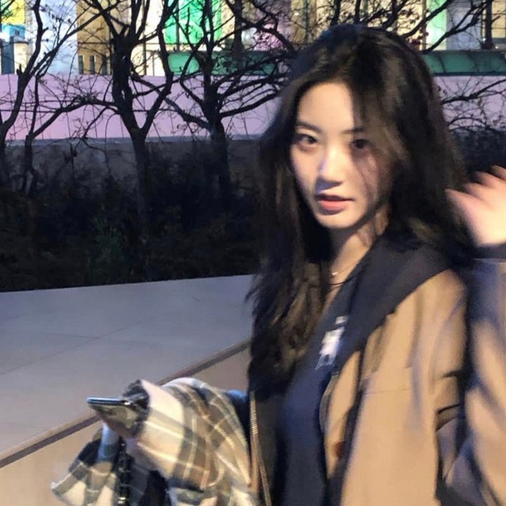鱼之梦 封面